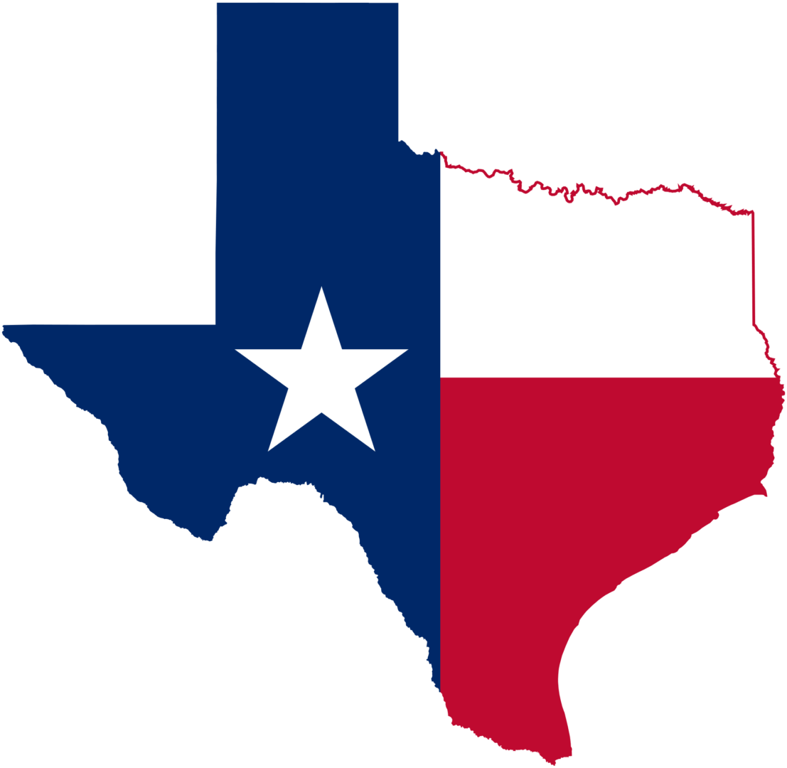 Texas Property Tax Sales in a Hybrid Tax Deed State Ted Thomas