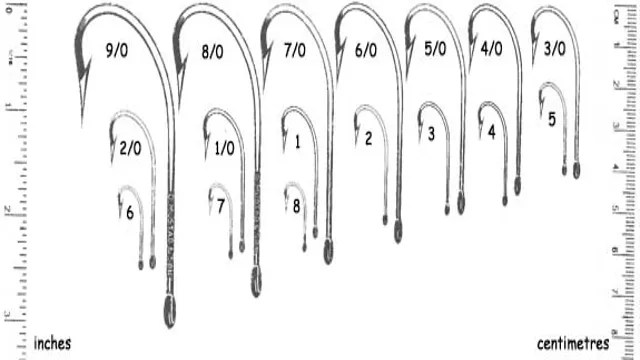 Fishing Hook Size Chart: The Ultimate Guide – SizeChartly