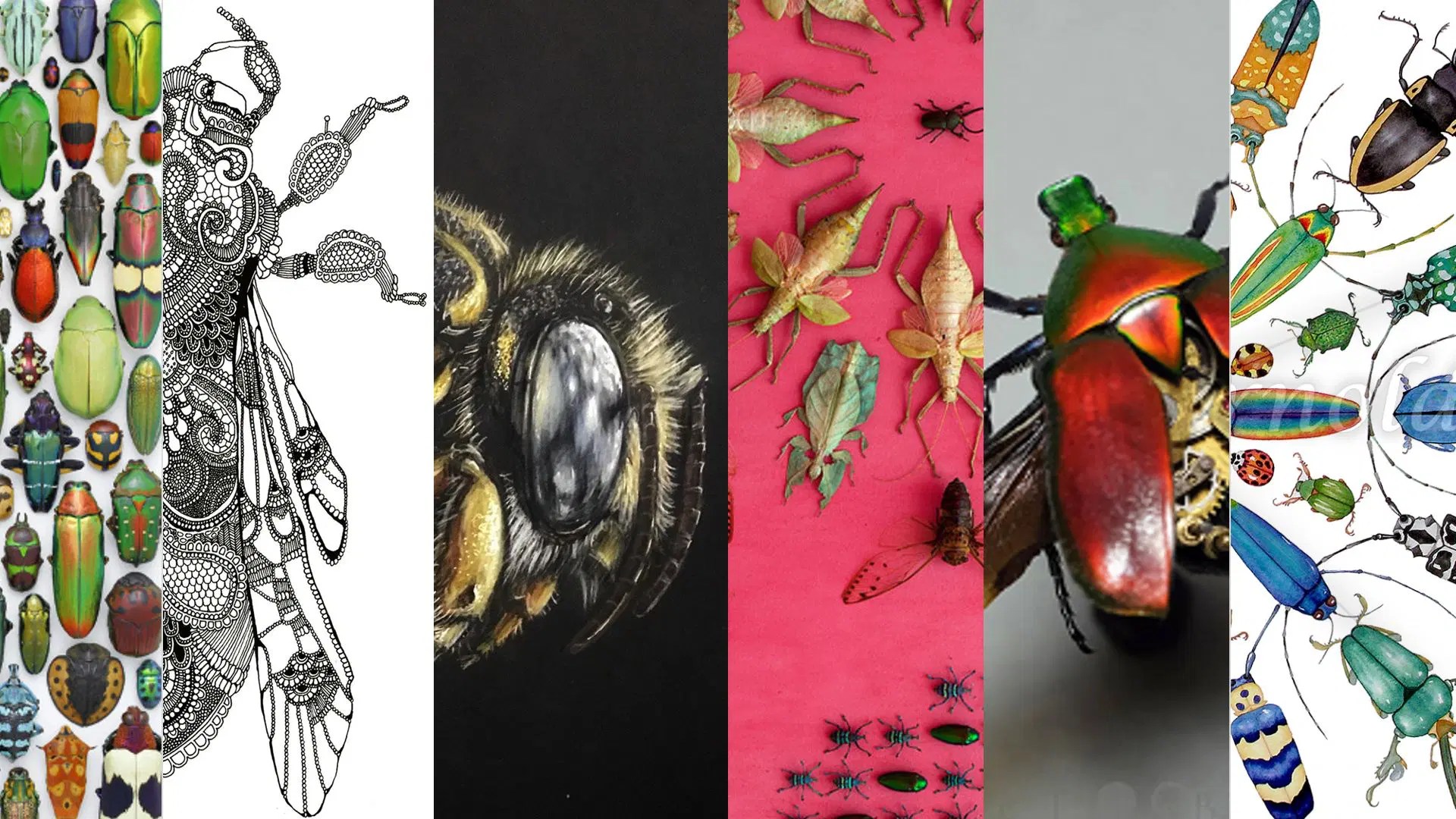 Artists Who Create Artworks of Insects The Arty Teacher