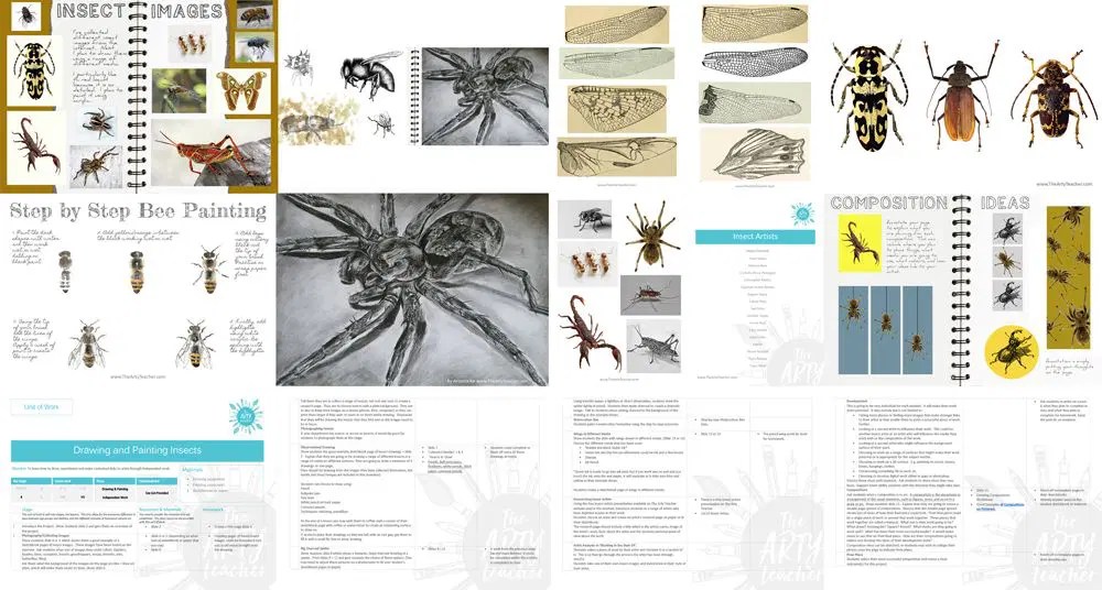 Drawing and Painting Insects Unit of Work The Arty Teacher