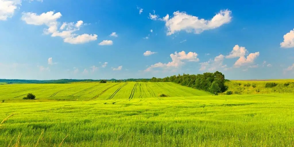 How Much Land Is Needed to Build?