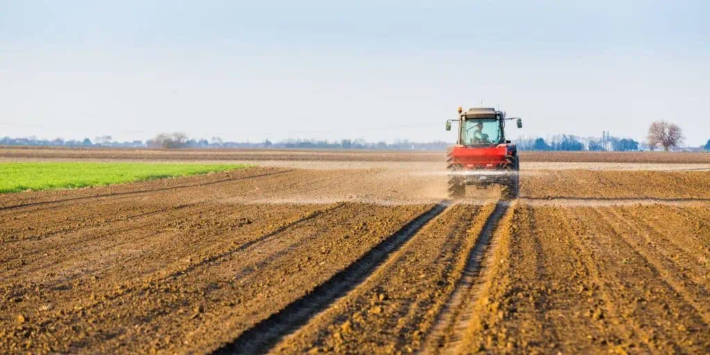 What Is Fallow Land?