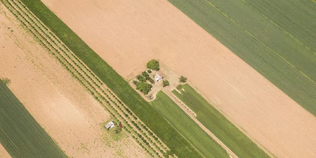What Is Arable Land?