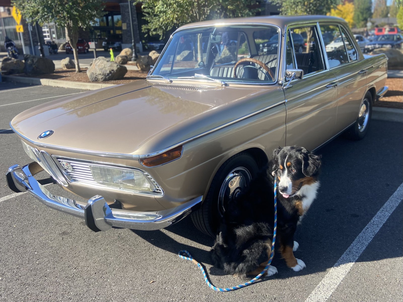 1967 BMW 2000 Neue Klasse 4Speed BaT and club member's car.... BMW