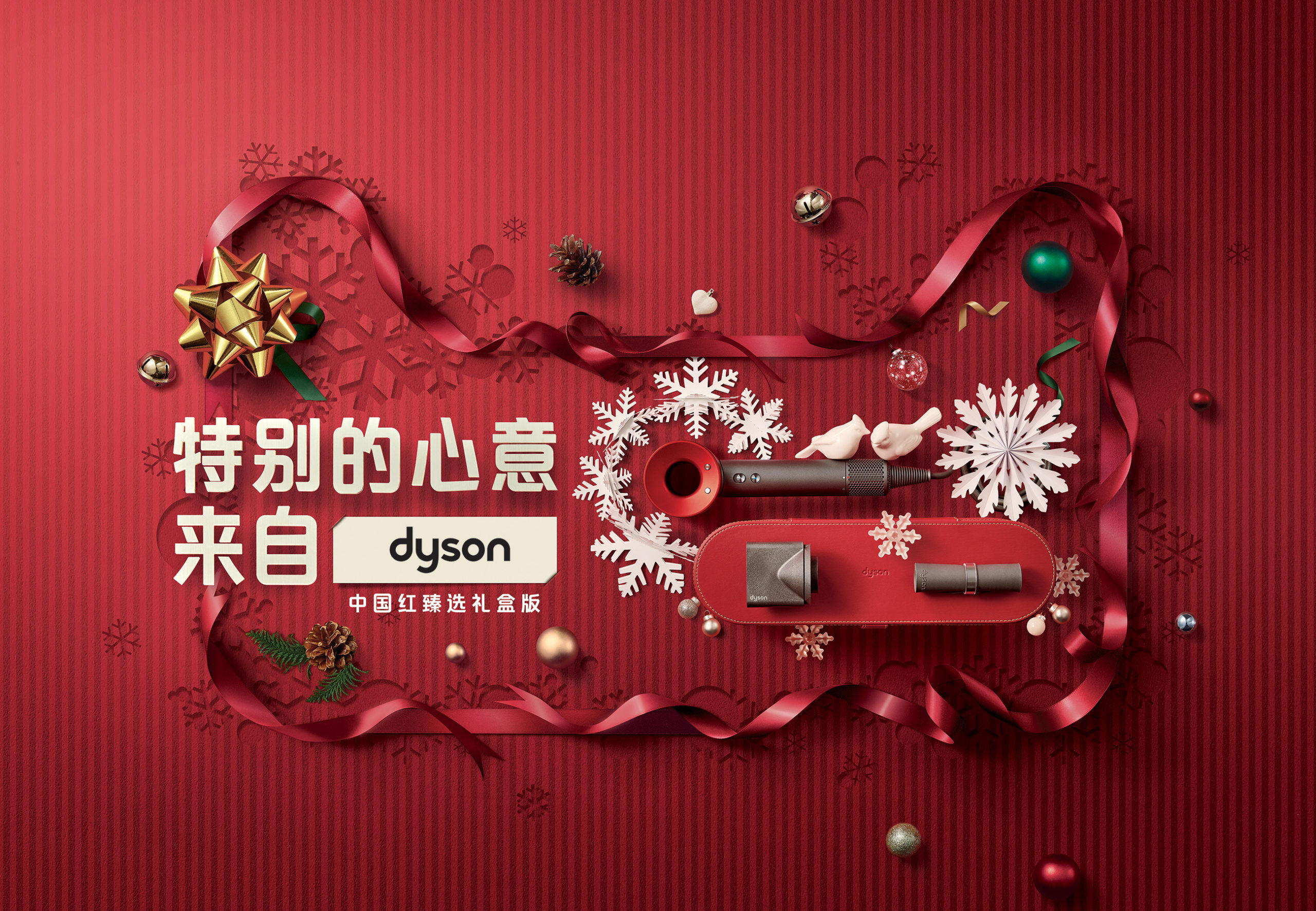 China Case Study Dyson EAC International Consulting