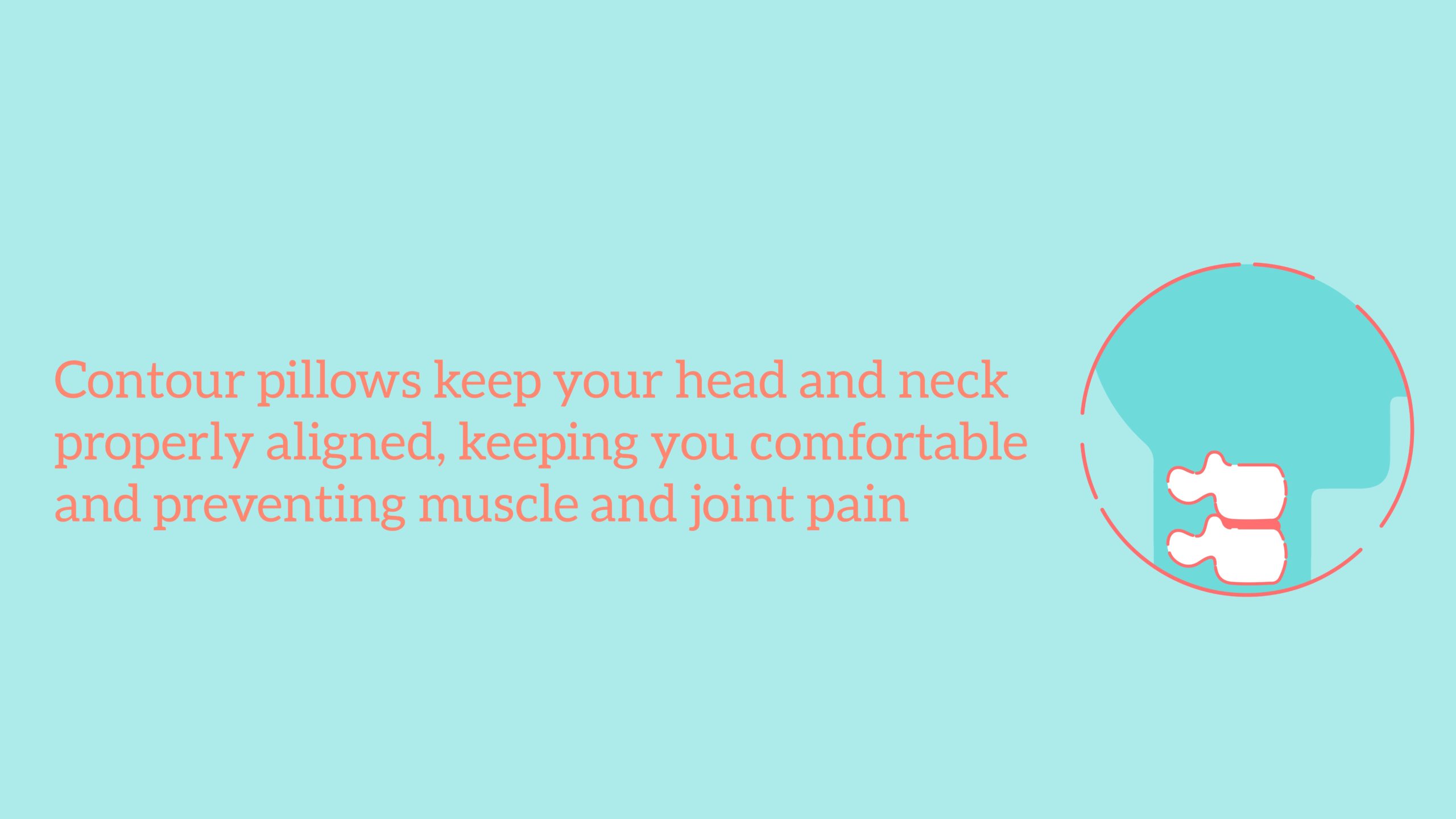 6 Best Contour Pillows eachnight