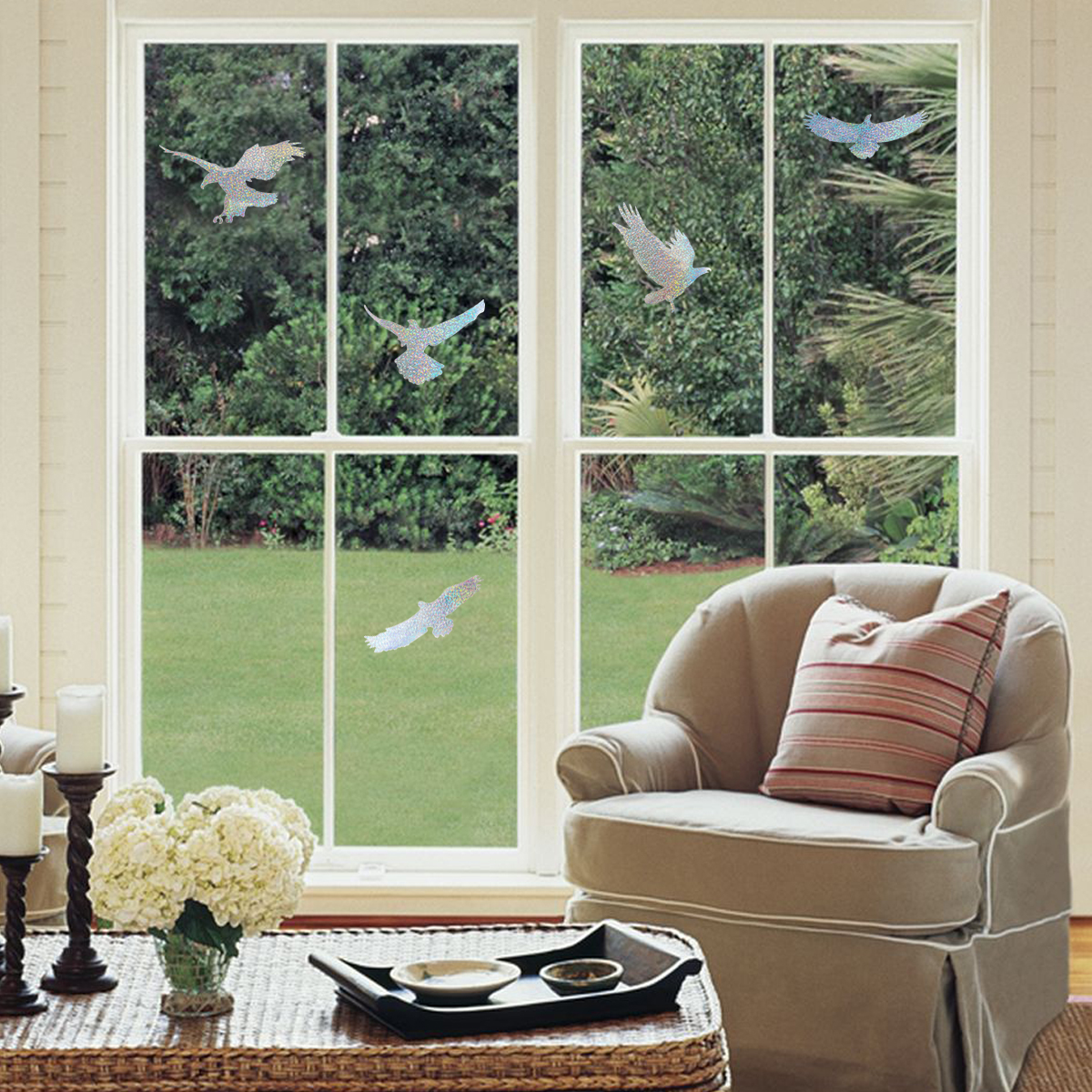 Window Anti Bird Strike Eagle EACILLES