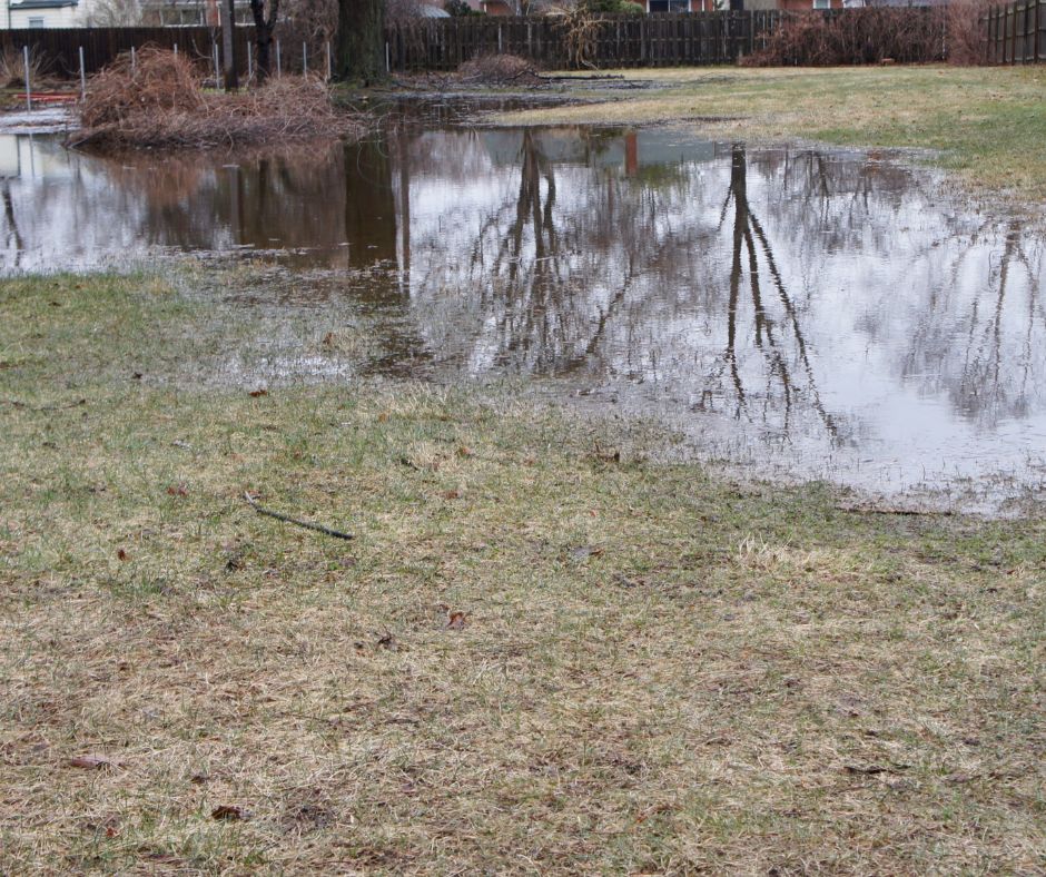 How To Fix Flooding in Backyard