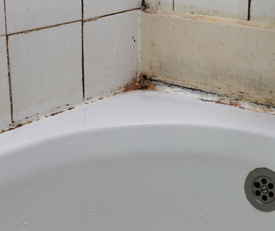 How To Remove Mold From Tile Grout