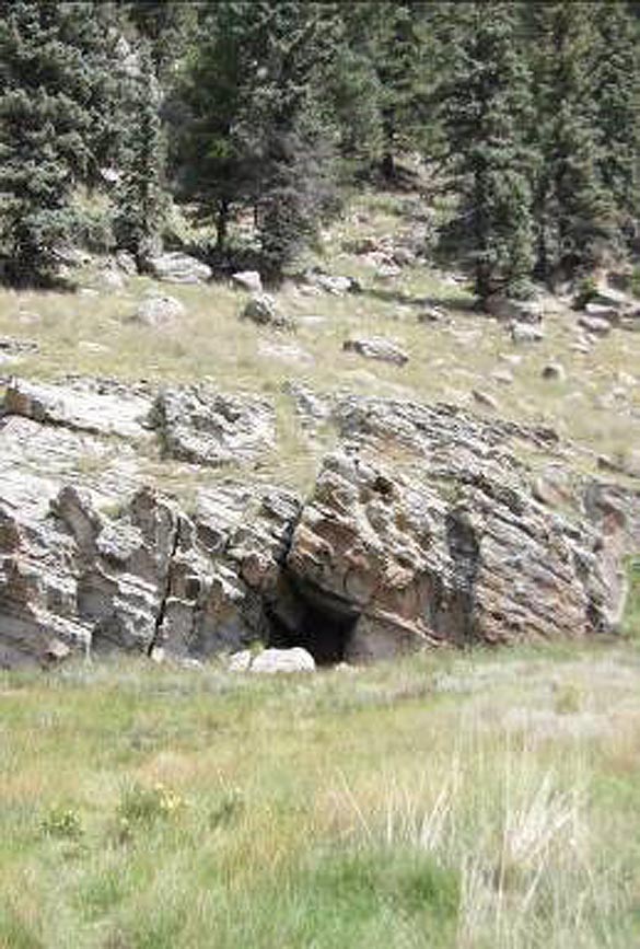PEEC Amateur Naturalist Mushrooms Along La Jara Trail
