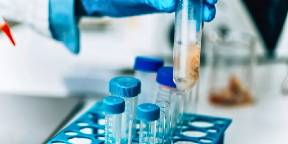 A Beginner's Guide to Water Testing Kits and Their Usage Olympian