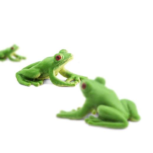 Good Luck Mini Frogs A2Z Science & Learning Toy Store