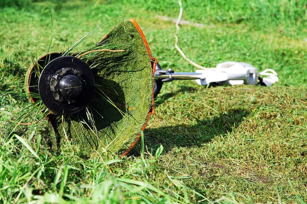 What to Do When the Weed Eater Head Won’t Come Off Trim That Weed