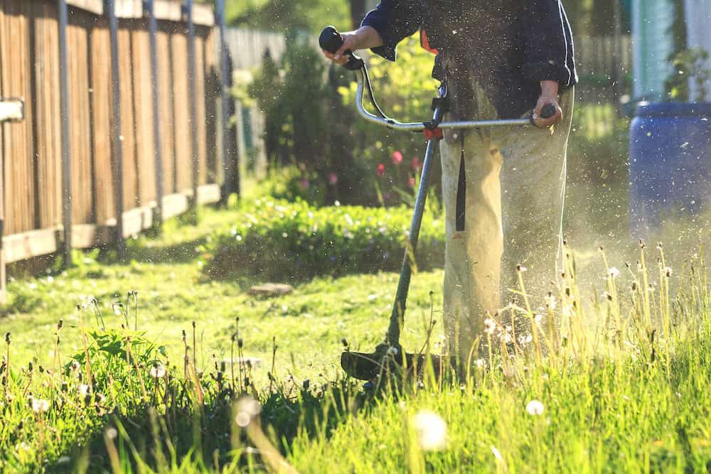 How to Edge a Flower Bed With a Power Edger Trim That Weed