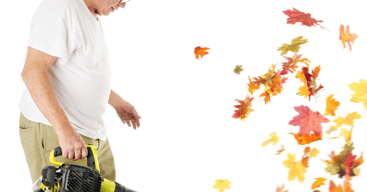 How to Start a Ryobi Leaf Blower - Trim That Weed