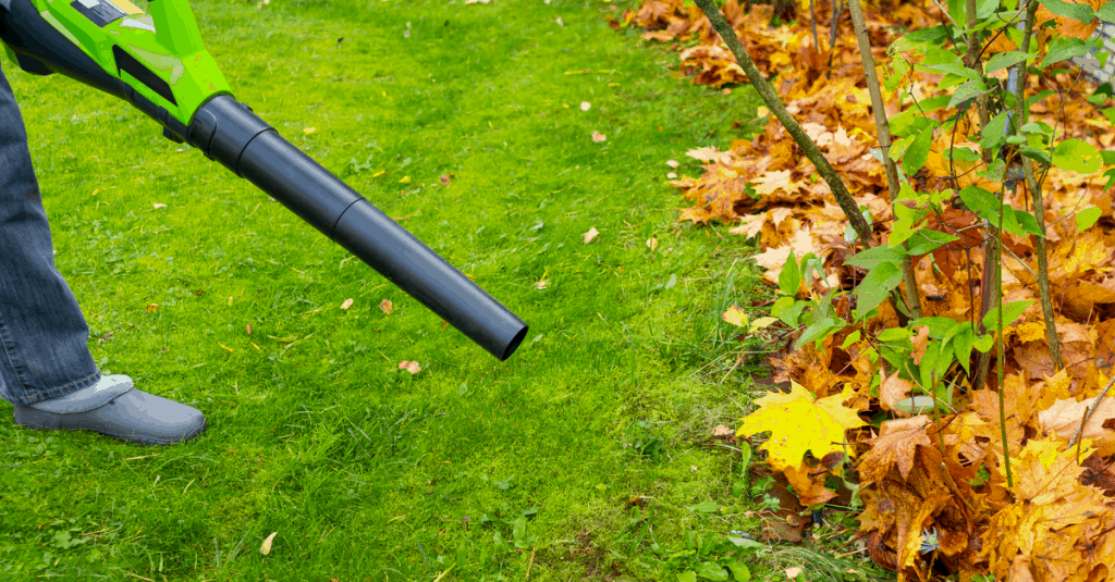 How to Start a Ryobi Leaf Blower - Trim That Weed