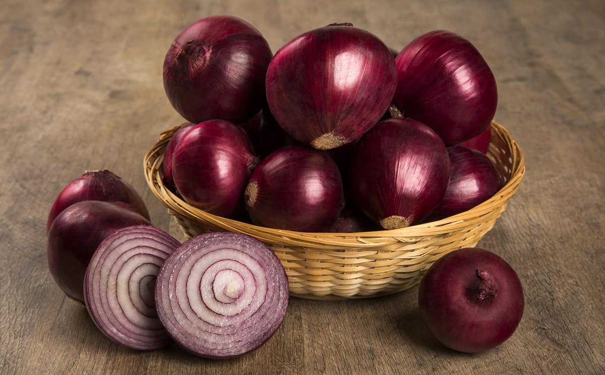 How To Grow Red Onions