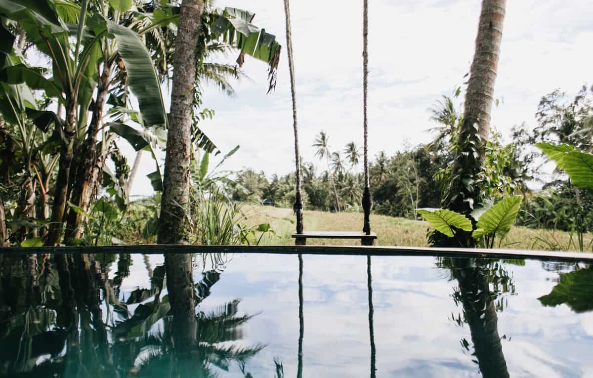 How To Prevent Grass From Growing Under Pool