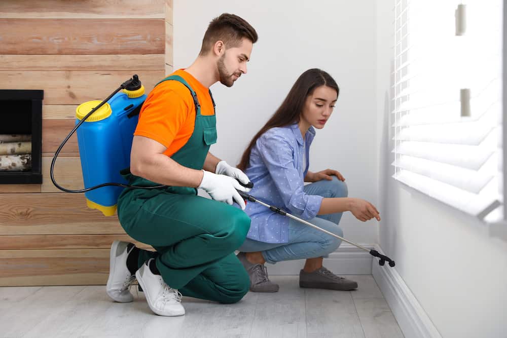 How To Clean House After Pesticide Is Sprayed Trim That Weed