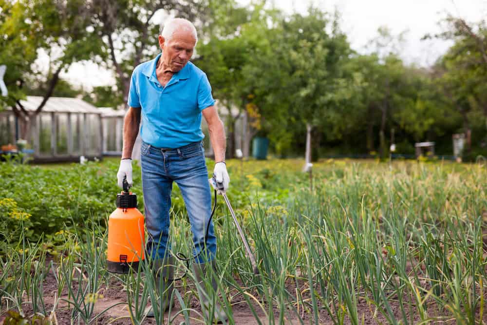How Long To Wait After Pesticide Spray on Vegetables