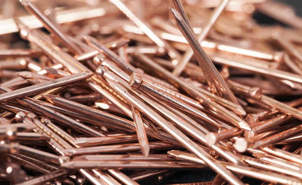 How Long Does It Take To Kill A Tree With Copper Nails