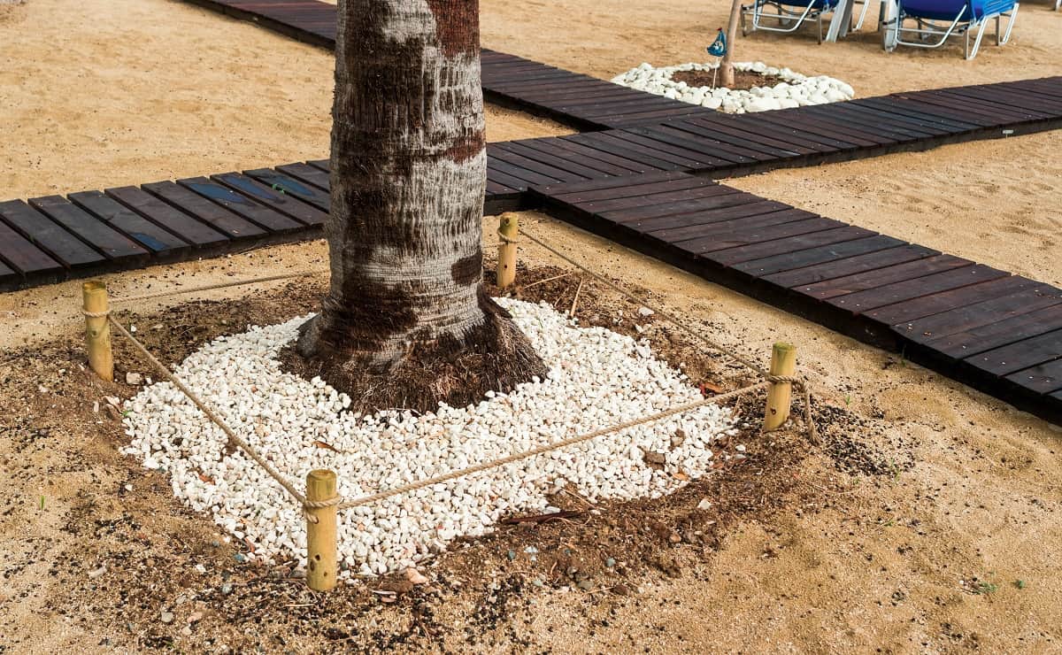 How To Keep Grass From Growing Around Trees