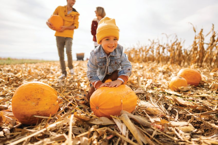 Did You Know the History of Halloween is Rooted in Agriculture? Farm