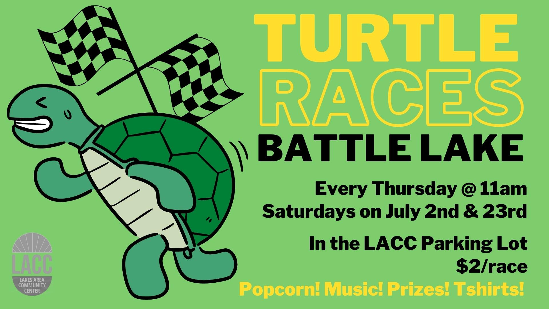 Turtle Races in Battle Lake Otter Tail Lakes Country Association