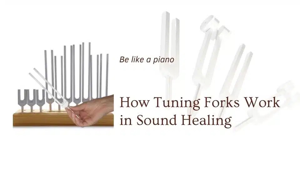 How Tuning Forks Work in Sound Healing The Om Shoppe