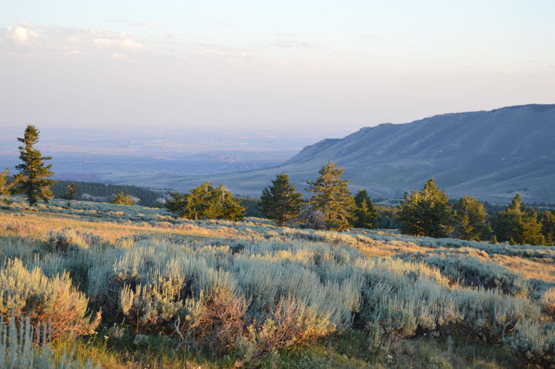 Pryor Mountains Map Launch Wild Montana