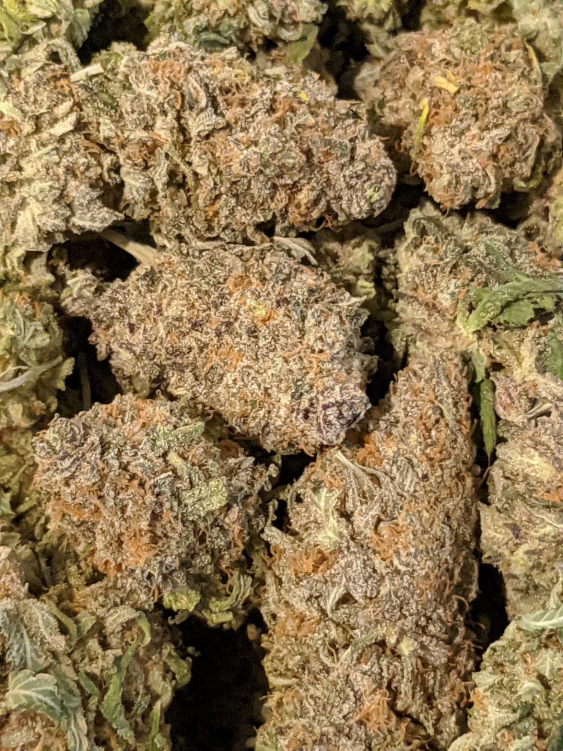 Buy Black Cherry Gelato Online Cheap Weed