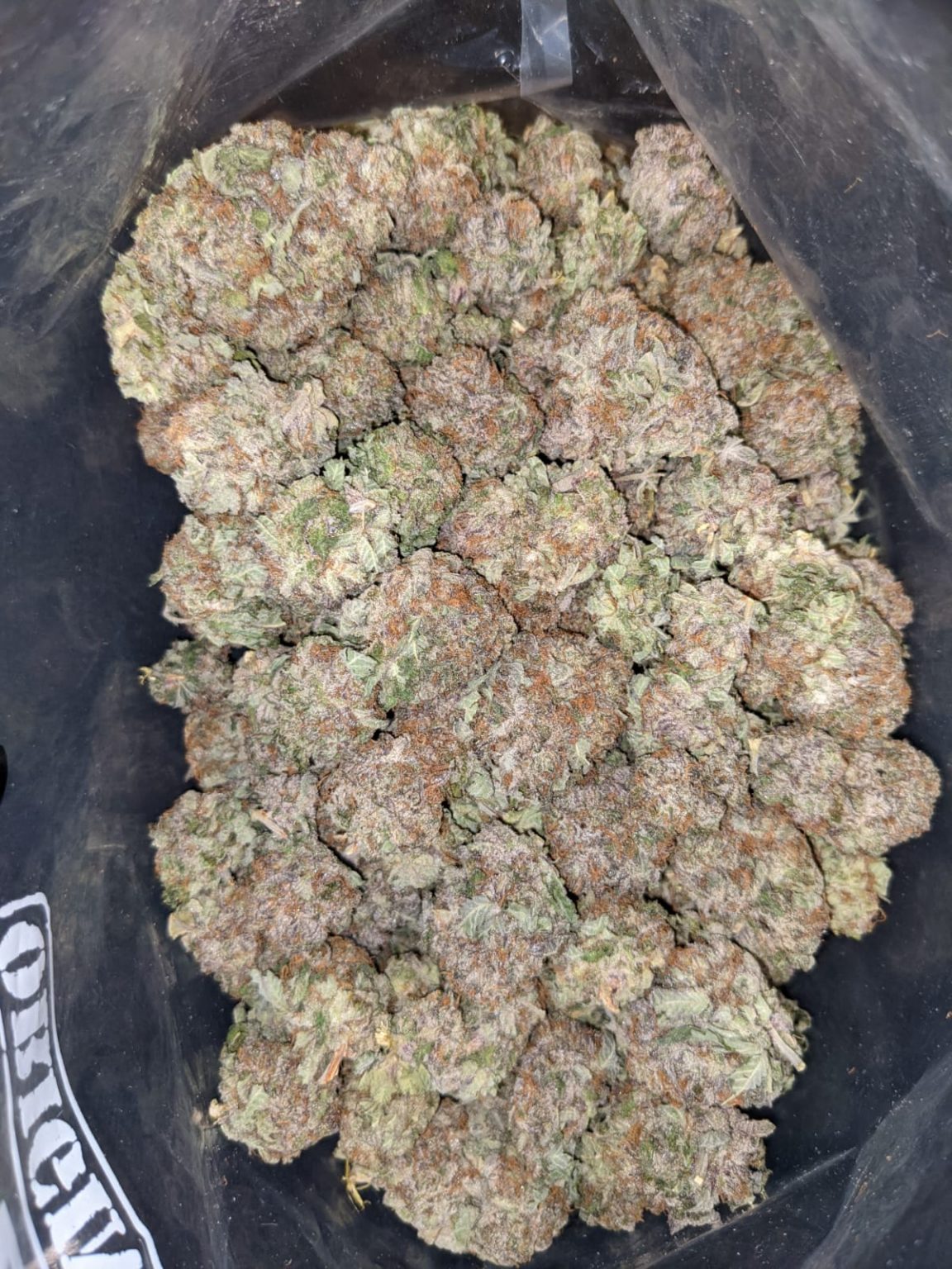 Buy White Durban *Deal of the Day* Online Cheap Weed