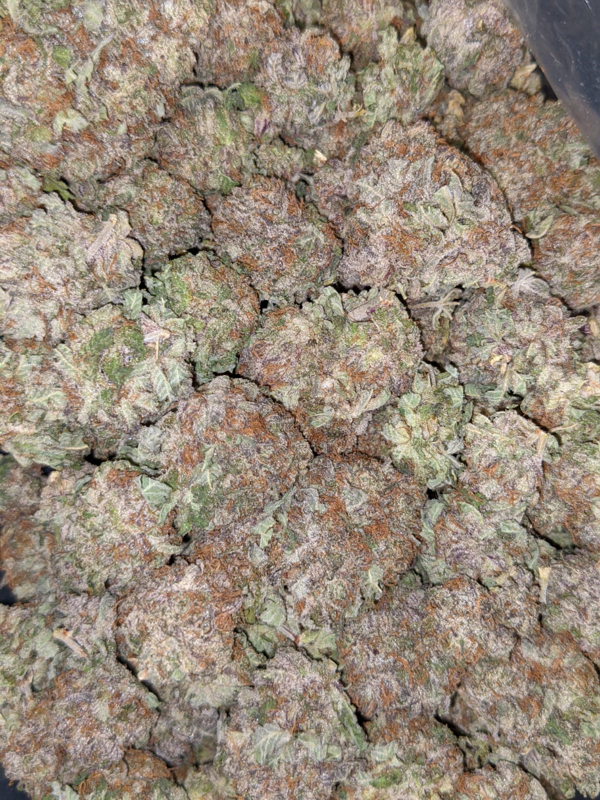 Buy White Durban *Deal of the Day* Online Cheap Weed