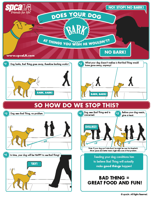 Why Do Dogs Bark At Noises Outside