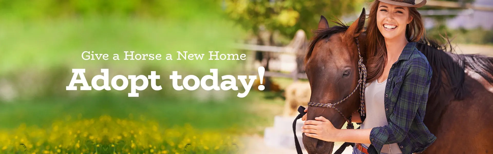 Adoption Application Arkansas Thoroughbred Retirement and