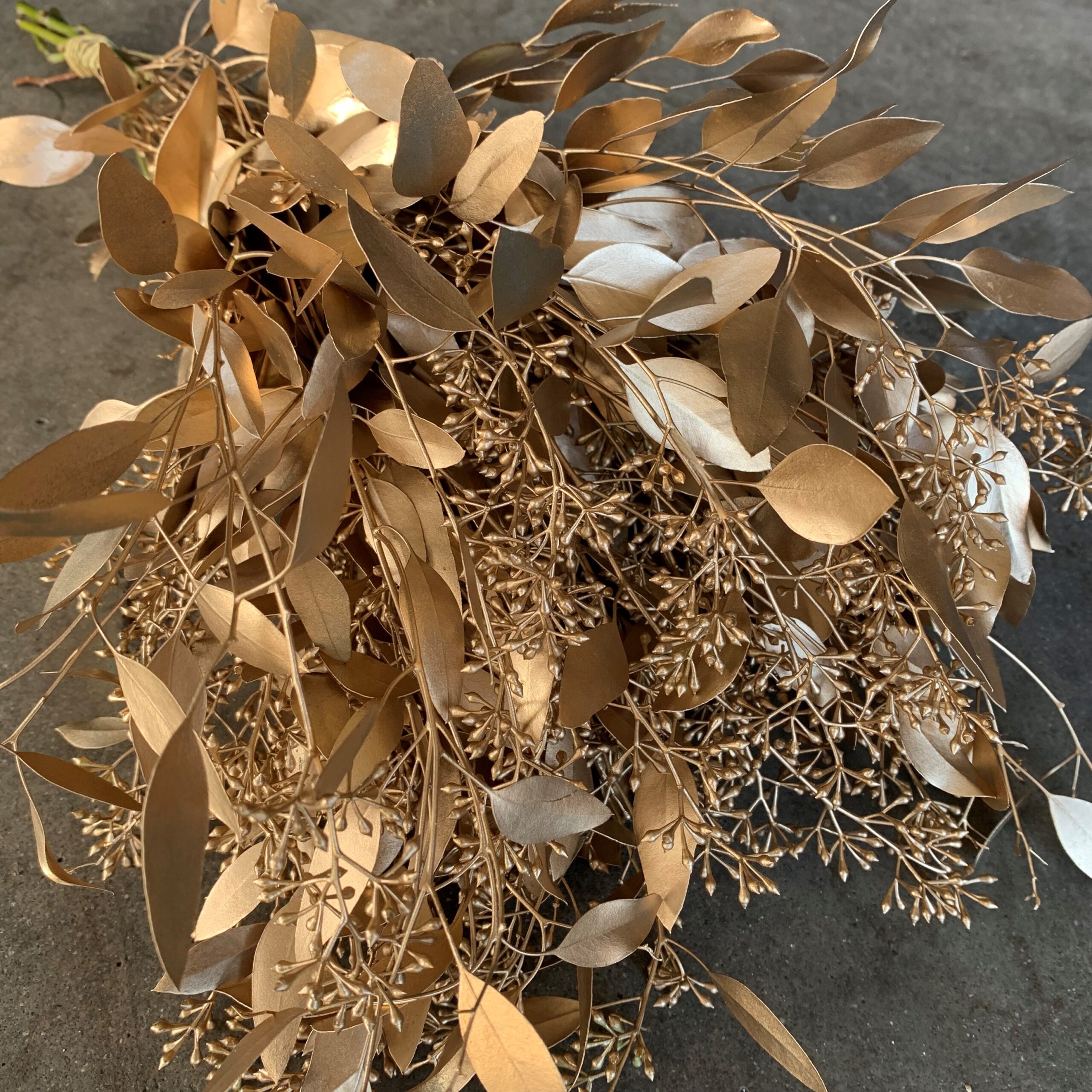 Gold Seeded Eucalyptus Wholesale Flowers & DIY Wedding Flowers