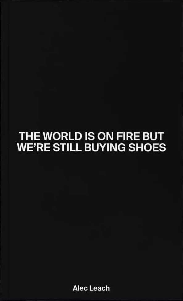 The World Is On Fire But We’re Still Buying Shoes under the cover