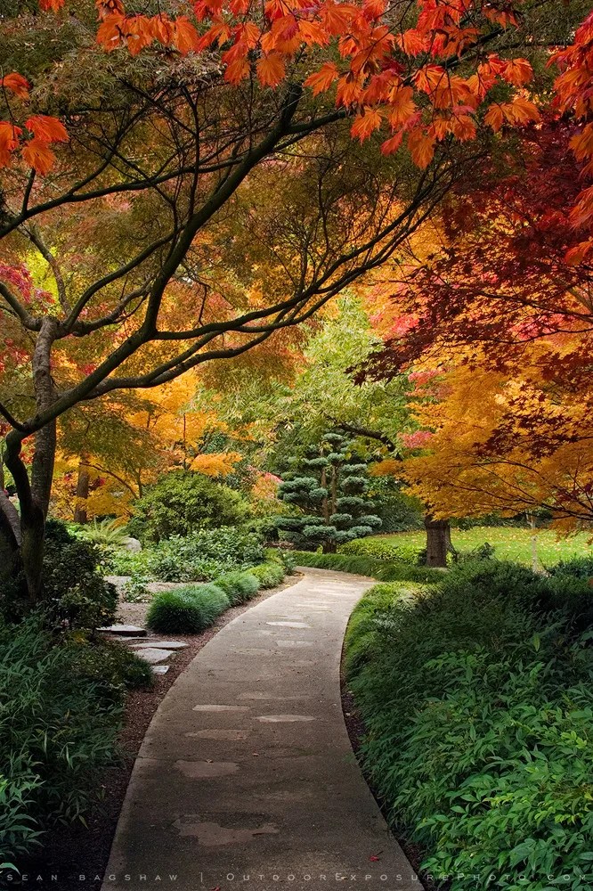 Tree Hall Stock Image, Lithia Park, Ashland, Oregon Sean Bagshaw