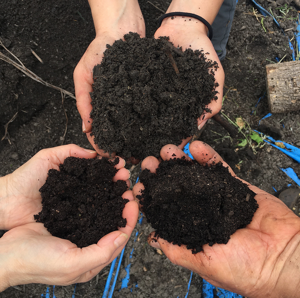 Howard County Compost Feature Image EA