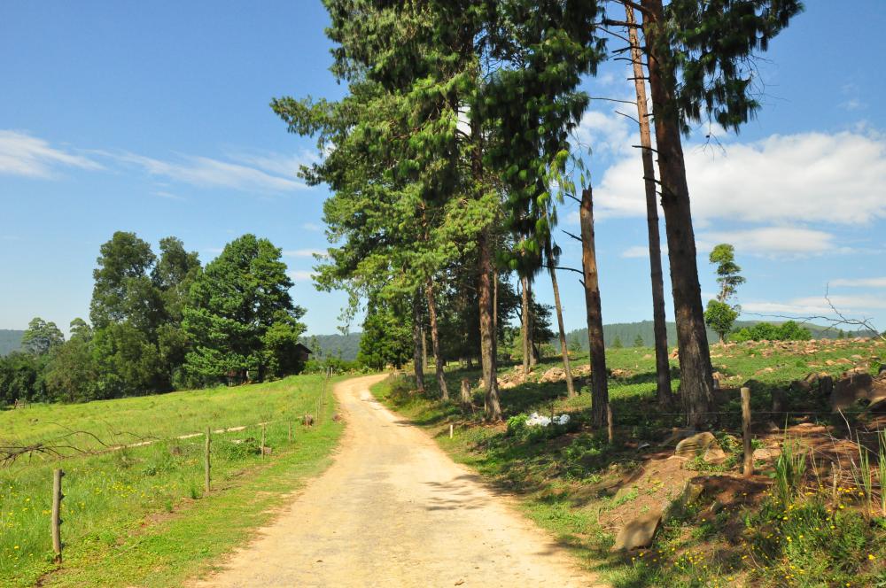 Midlands Meander A long weekend at Brahman Hills Eager Journeys