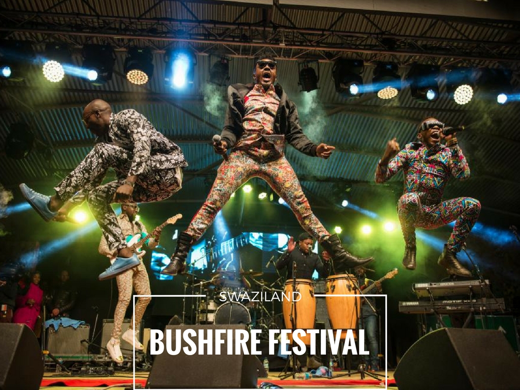MTN Bushfire Festival YouTube