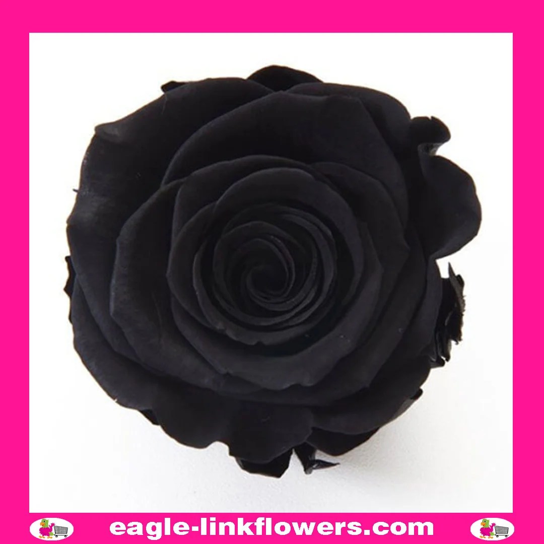 Black Roses Dyed or Tinted Roses EagleLink Flowers