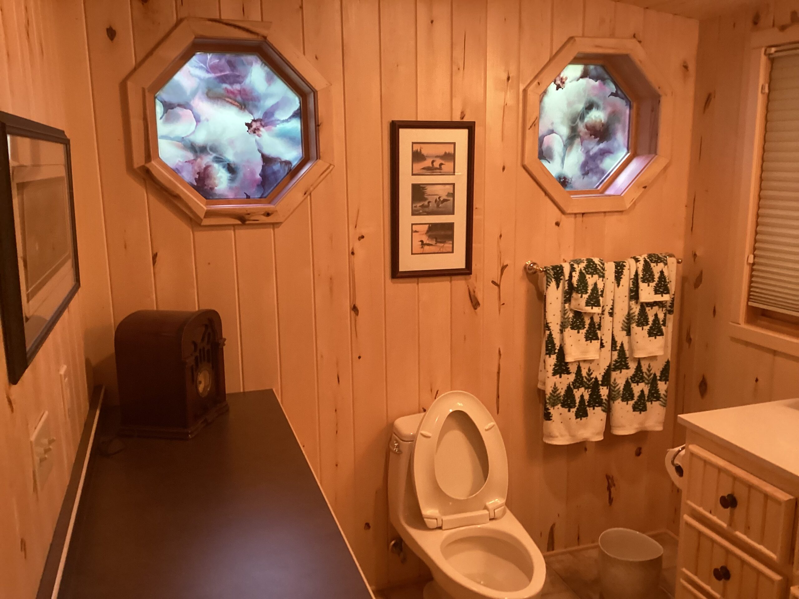 Cabin 19 Eagle Bay Lodge