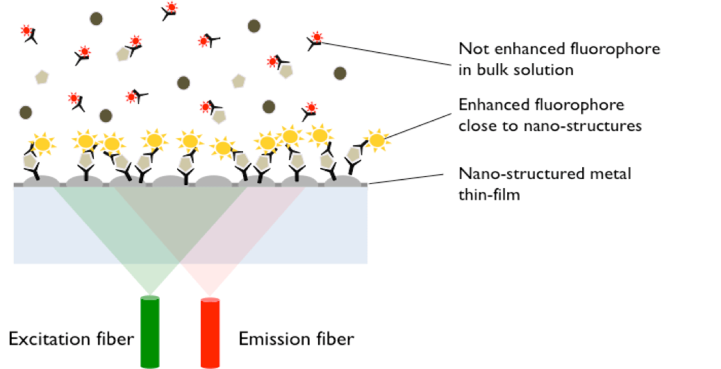 FluoBolt Noggin Fluorescence Immunoassay Eagle Biosciences