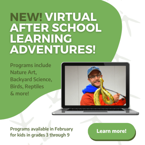 Eagle Bluff Environmental Learning Center Lanesboro, Minnesota