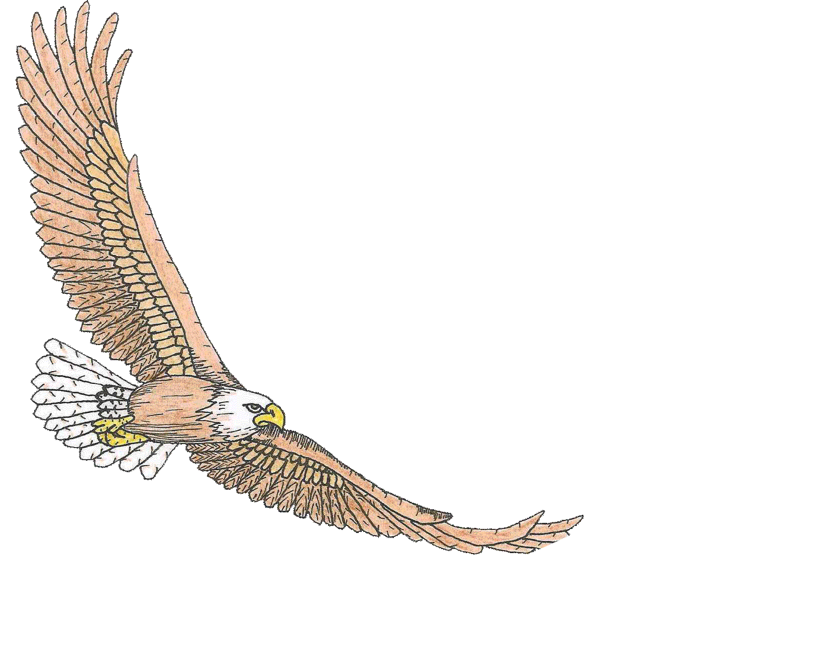 Our Story Eagle Butte Ranch