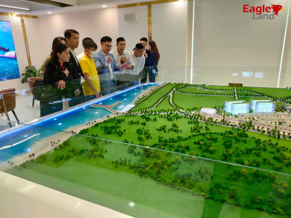 Công Ty TNHH Bất Động Sản Eagle Land Trang Chính Thức