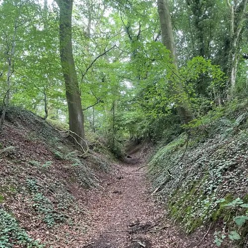 The Dells in Eccleshall A Walk near Eagle House B&B