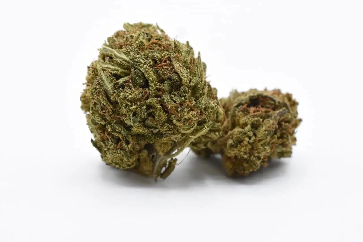 Buy Delta 8 Flower Wholesale In Bulk By The Pound