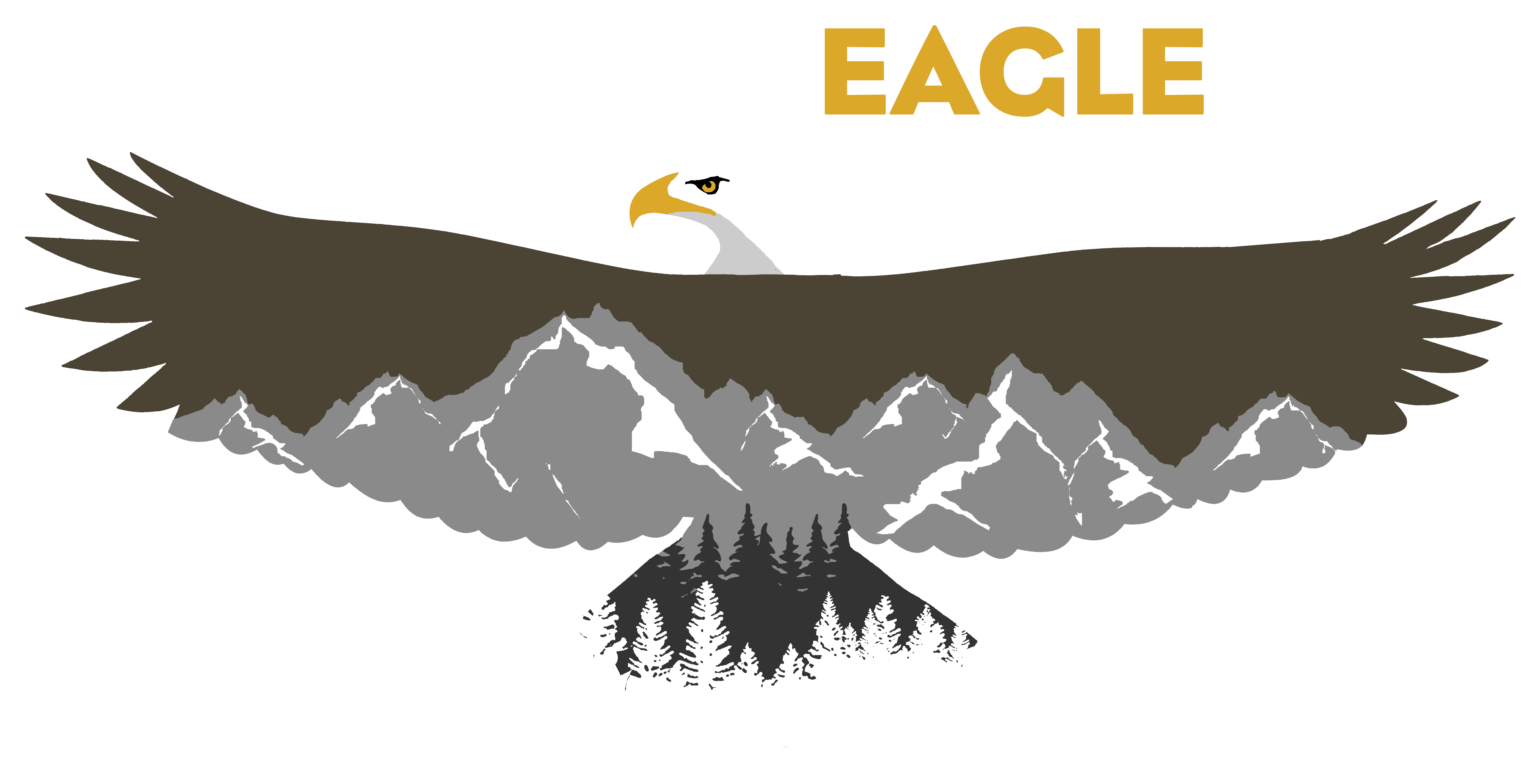 Project Eagle American Eagle Foundation